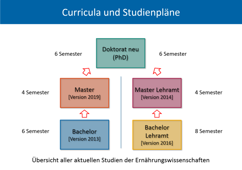 graphic shows all current curricula at the Department