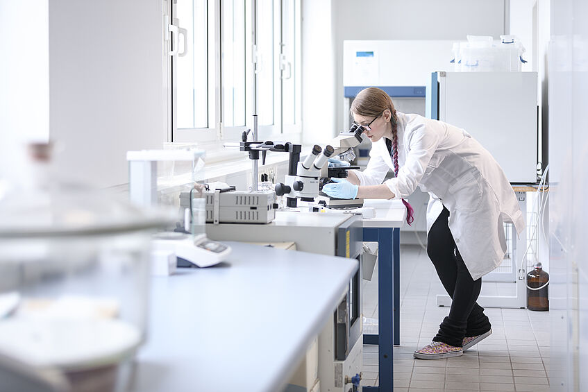 An assistant does laboratory research at the Department